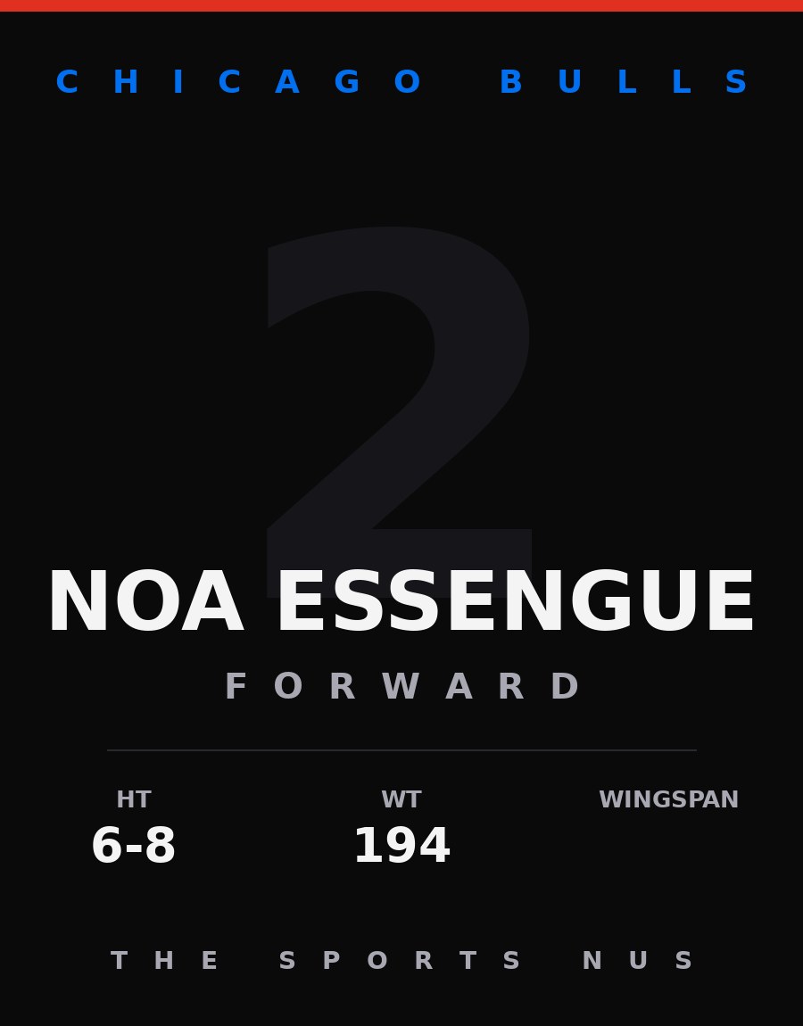Noa Essengue player card: Chicago Bulls forward, number 2